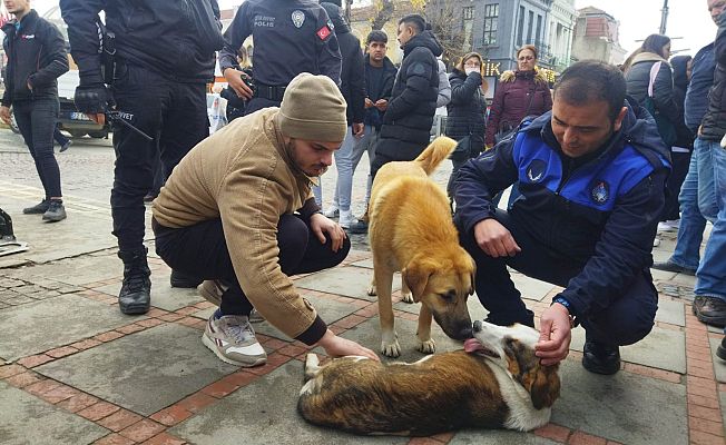 KÖPEĞİN DOSTLUĞU HERKESİ DUYGULANDIRDI