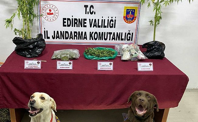 JANDARMA'DAN UYUŞTURUCU MADDE OPERASYONU