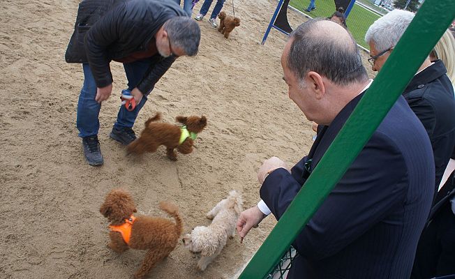 GÜRKAN KÖPEKLERİ BESLEDİ