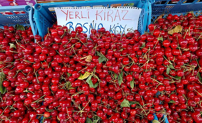 "HOBİ OLARAK YAPIYORUZ, MALİYETLER ÇOK YÜKSEK"