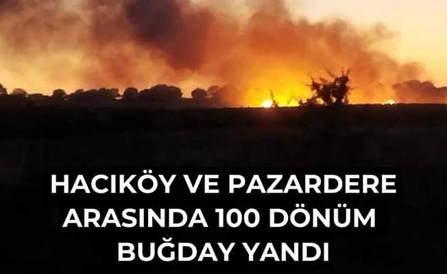 HACIKÖY’DE BUĞDAYLAR KÜL OLDU