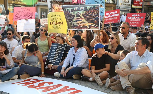 SOKAK HAYVANLARI İÇİN “YASAYI GERİ ÇEK” EYLEMİ