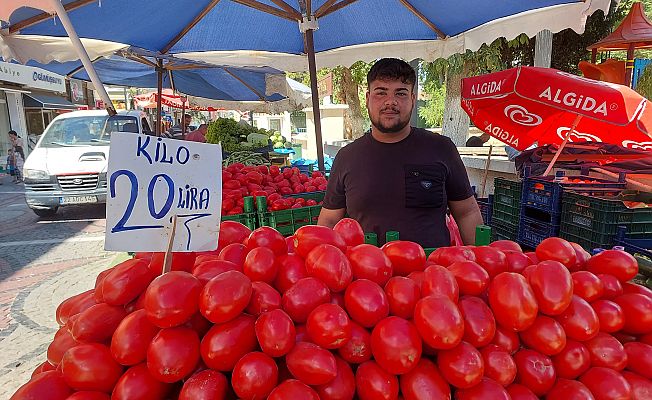 SALÇALIK DOMATES TEZGAHTA