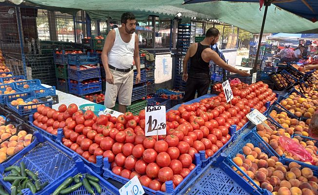 SALÇALIK DOMATES UCUZLADI