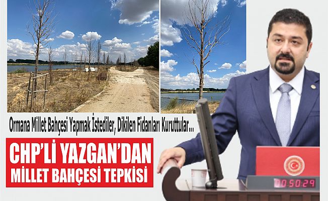 ‘DOĞAYI DEĞİL, BETONU SEVİYORSUNUZ’