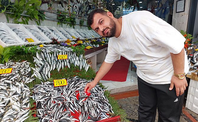 HAMSİ VE PALAMUT ŞÖLENİ BAŞLADI!