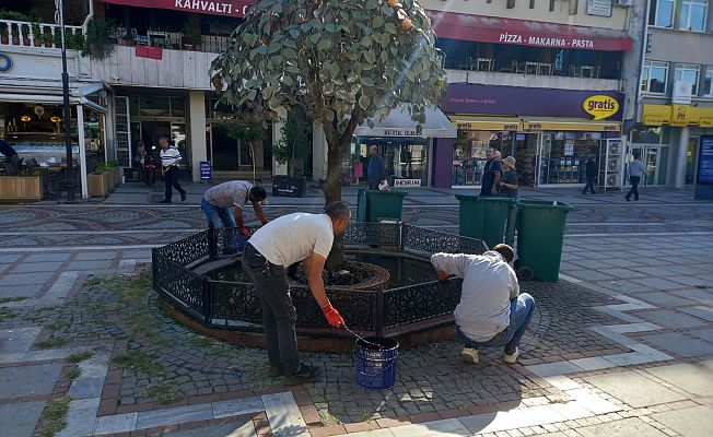 Süs havuzlarına bakım