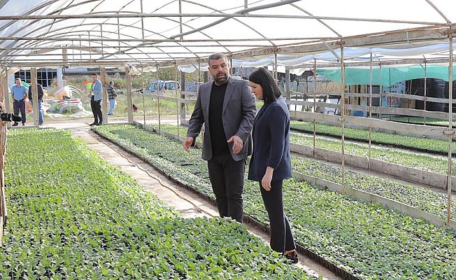 EDİRNE, 300 BİN ÇİÇEKLE RENKLENİYOR