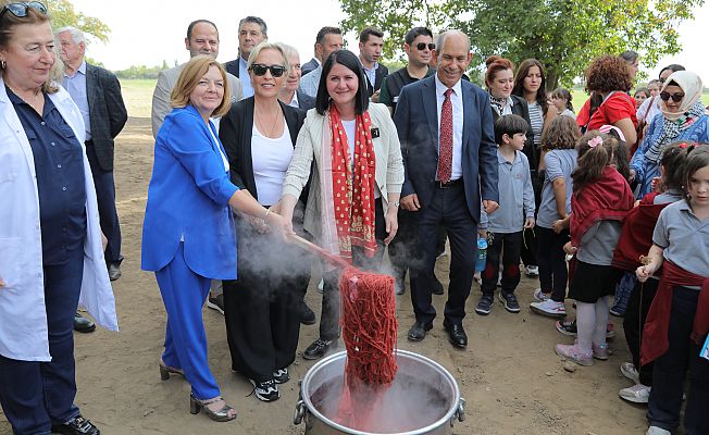 “EDİRNE KIRMIZISI”NIN ELDE EDİLDİĞİ KÖK BOYA BİTKİSİNİN HASADI YAPILDI