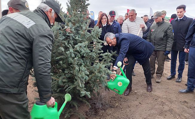 BİNLERCE FİDAN TOPRAKLA BULUŞTU