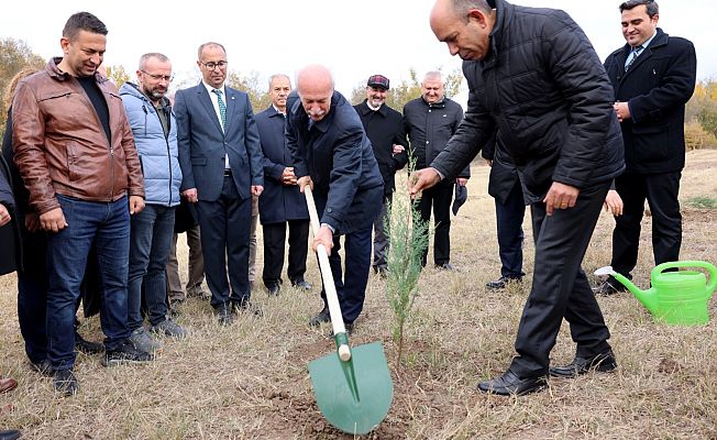 ÜNİVERSİTELER BİRLİĞİ'NDEN AĞAÇLANDIRMA