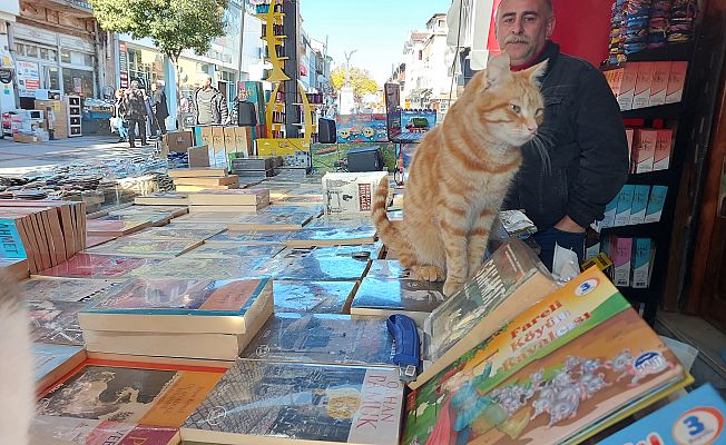 KİTAPÇI ÖZKORKMAZ "BURADAKİ KEDİLER YAŞAMAYI KENDİLERİ TERCİH EDİYOR"