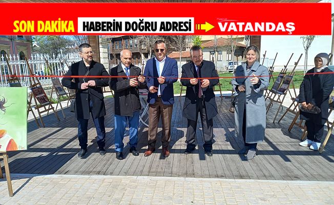 "DÜNYA ROMANLAR GÜNÜ"NDE ADALET VE EŞİTLİK ÇAĞRISI